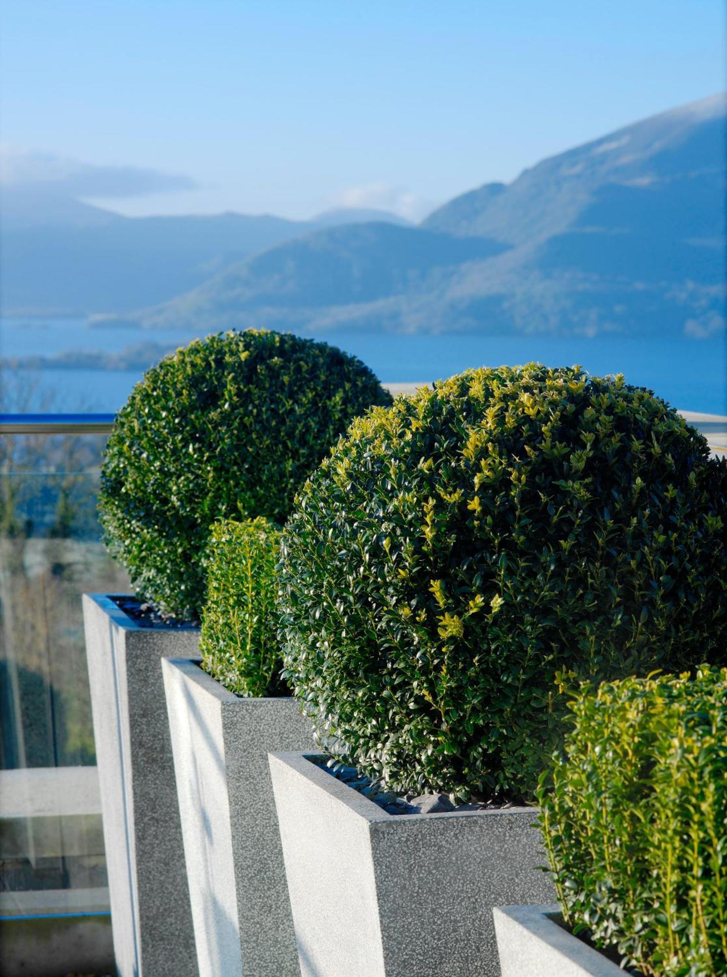 Aghadoe Heights Hotel & Spa Кілларні Екстер'єр фото Boxwood